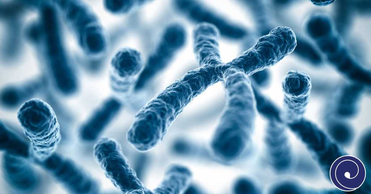 Kariotip i neplodnost