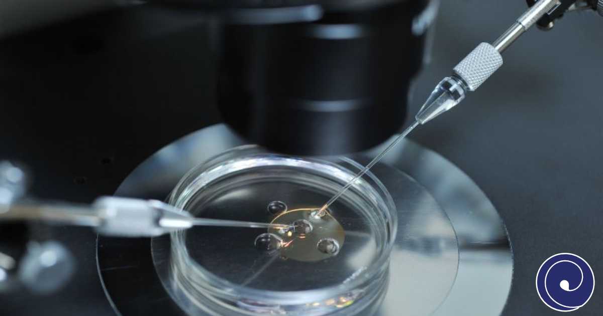 Oplodnja jajnih stanica u vantjelesnoj oplodnji