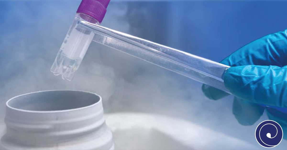 Zamrzavanje spolnih ćelija